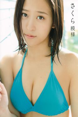 如懿传在线观看免费全集高清电视剧